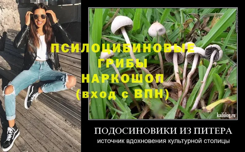 Псилоцибиновые грибы Magic Shrooms  Коломна 